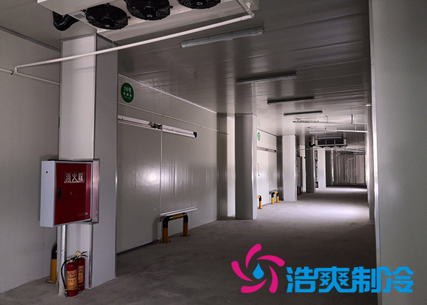 建造一個冰淇淋冷庫造價需要多少錢？