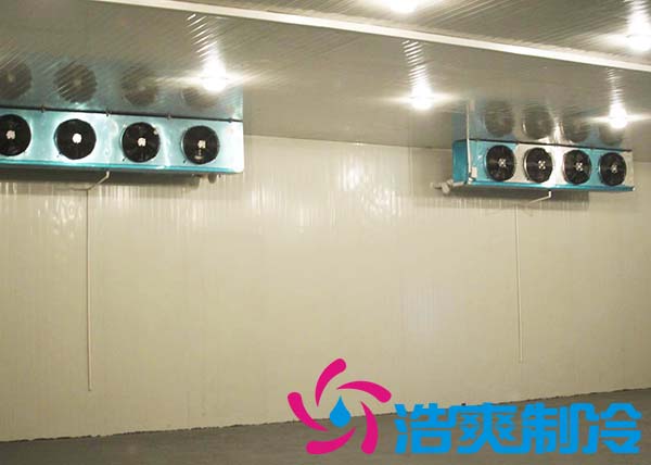建造一間海參低溫冷凍庫大約需要多少費(fèi)用？