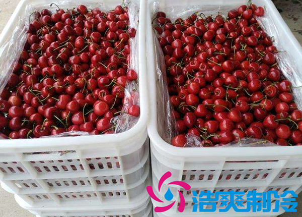 櫻桃氣調(diào)建造完成后有哪些儲(chǔ)存方法和步驟？_浩爽制冷