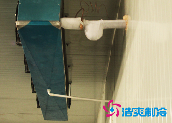 建造大型農(nóng)產(chǎn)品基地冷庫造價需要投資多少費(fèi)用？