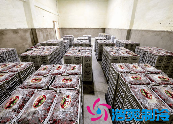 果蔬保鮮冷庫安裝造價需要多少錢？_浩爽制冷