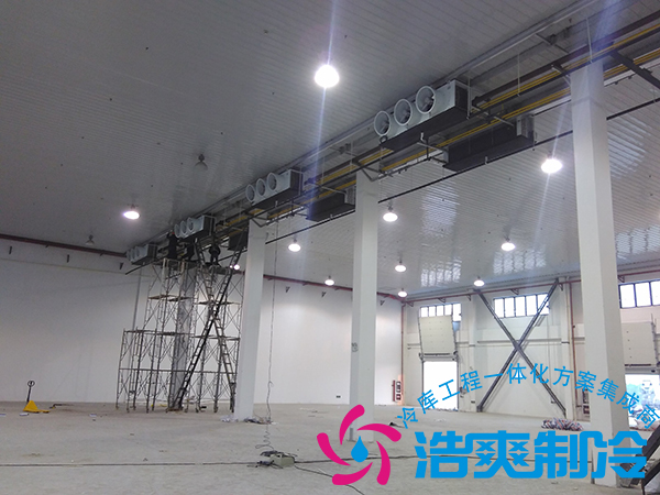 建造一個(gè)小型青果檳榔保鮮冷庫(kù)造價(jià)多少錢？可以存儲(chǔ)多長(zhǎng)時(shí)間？