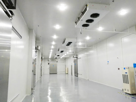 安徽建造20000m3食品加工型冷庫造價大概多少錢？_浩爽制冷