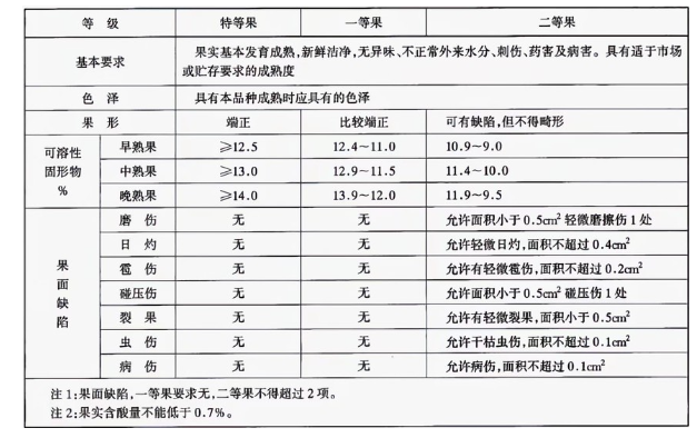 李子冷庫(kù)建造完成后如何用于儲(chǔ)存的？這些你都知道嗎