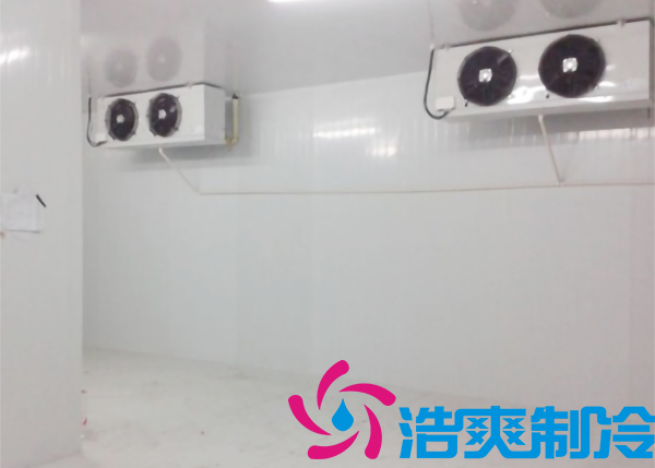 花店建一個鮮花冷庫需要多少錢？_浩爽制冷