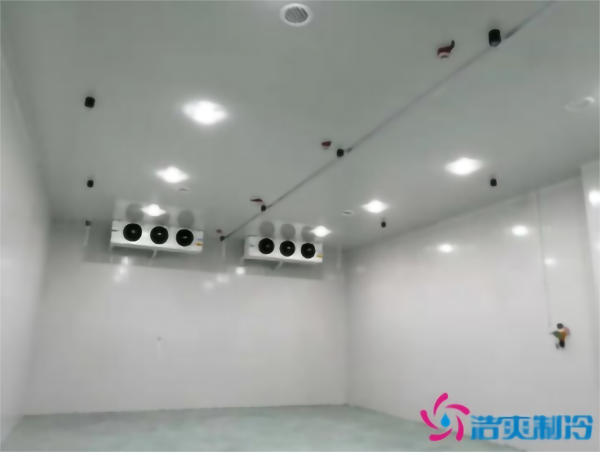 調(diào)味料冷庫溫度需求，建一個食品調(diào)味料冷庫多少錢？_浩爽制冷