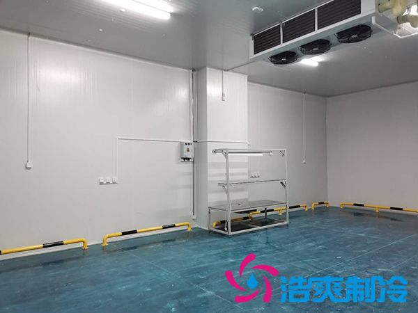 建一個(gè)1000平米蔬菜恒溫庫(kù)成本多少錢(qián)？_浩爽制冷
