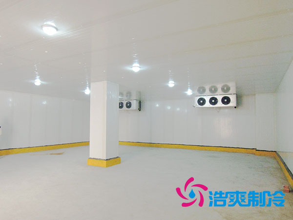 50噸果蔬氣調(diào)庫預算造價多少錢？-浩爽制冷