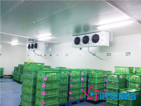 茶葉冷庫設(shè)置多少溫度合適？-浩爽制冷