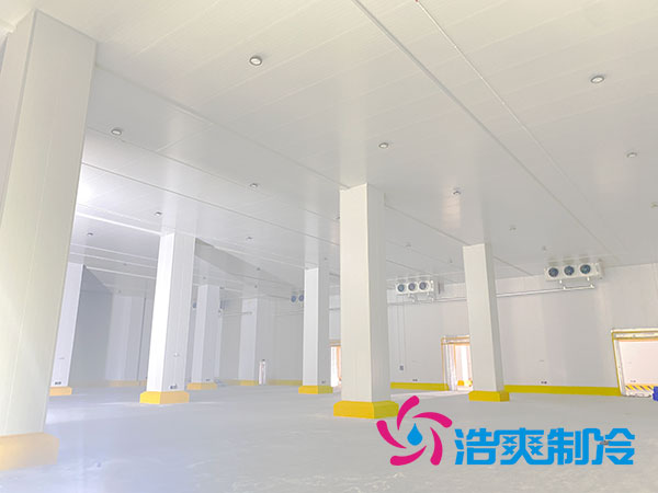 浙江肉類速凍庫建造大概多少錢？-浩爽制冷