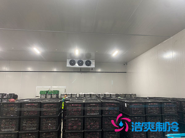 嘉定雞蛋冷庫(kù)安裝建造多少錢？-浩爽制冷