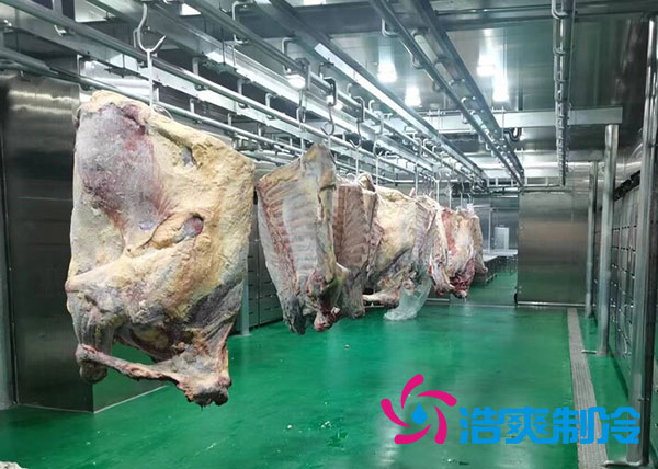 咸陽屠宰場陜西冷庫建造價格多少錢？-浩爽制冷