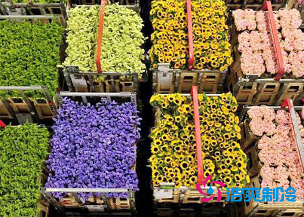 花卉冷庫安裝預算造價多少錢？-浩爽制冷