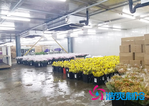 做個(gè)鮮花冷庫要多少錢？-浩爽制冷