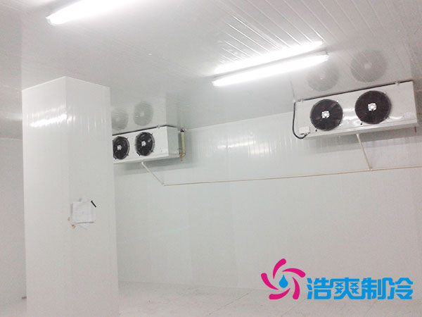 佛山雪糕冷凍庫價格多少錢？-浩爽制冷