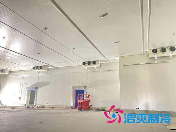 大型水果冷庫造價(jià)多少錢一平方？-浩爽制冷