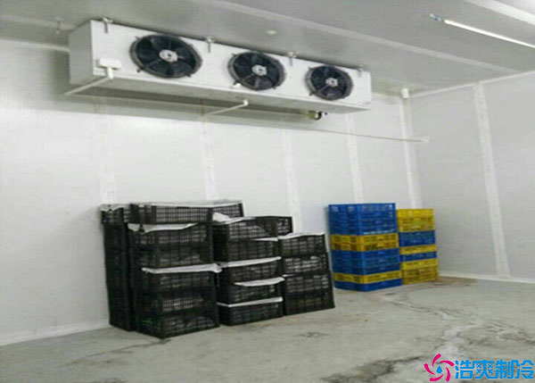 寧夏氣調(diào)冷庫(kù)如何建造？.jpg