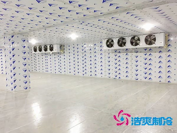 建造一個餐飲雙溫冷庫造價成本需要多少資金？