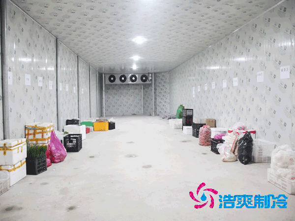 黃瓜氣調(diào)冷庫每平米造價是多少？-浩爽制冷