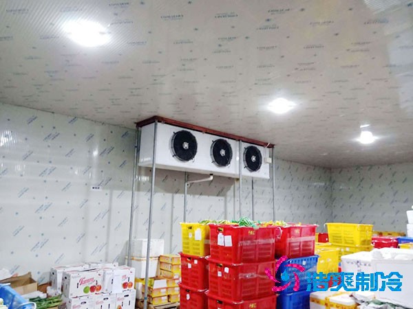 果品冷庫設(shè)計與安裝造價如何計算？-浩爽制冷