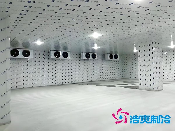 建一個生姜冷庫造價造價大概多少錢？-浩爽制冷