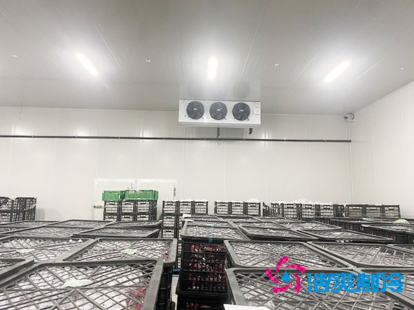 想知道保鮮冷庫(kù)設(shè)計(jì)安裝要花多少錢？-浩爽制冷